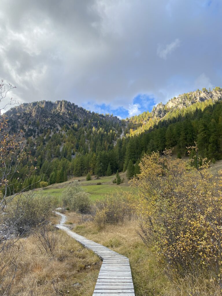 Wooden walkway winding through autumn meadows in the Swiss Alps beneath a cloudy sky.
