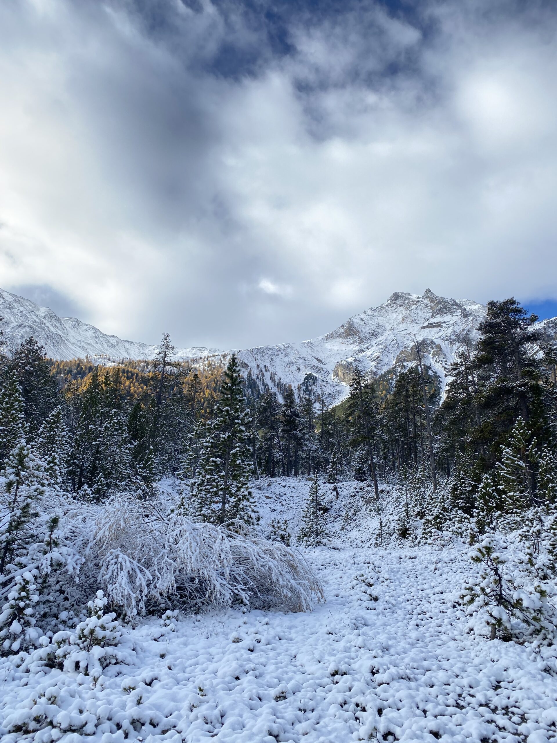 Snow-covered Swiss Alps landscape with morning light touching the mountains — symbolizing the stillness and dryness of early winter.