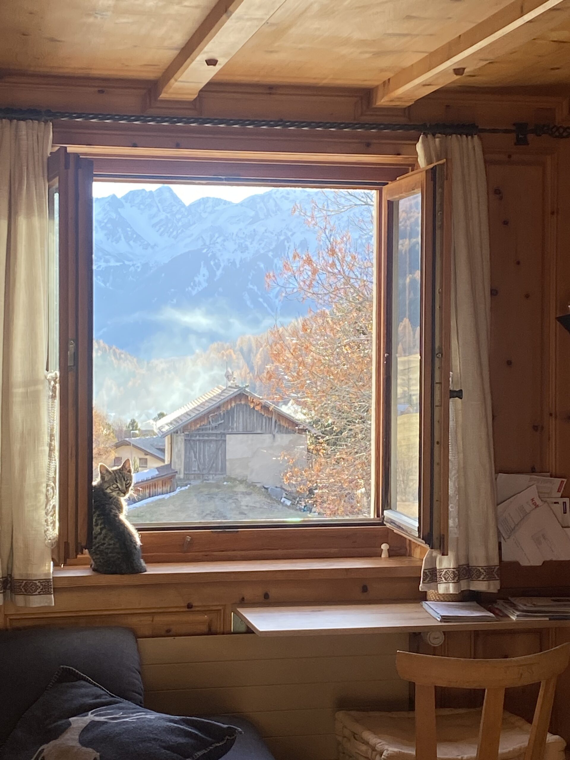 Open wooden window looking out over a small Swiss mountain village, with a cat sitting on the sill gazing outside — a quiet reflection of stillness and belonging.