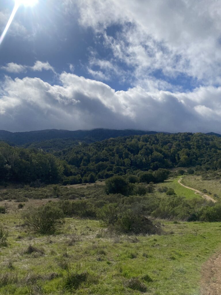 Rolling green hills and coastal clouds in Northern California, the familiar landscape I still crave.