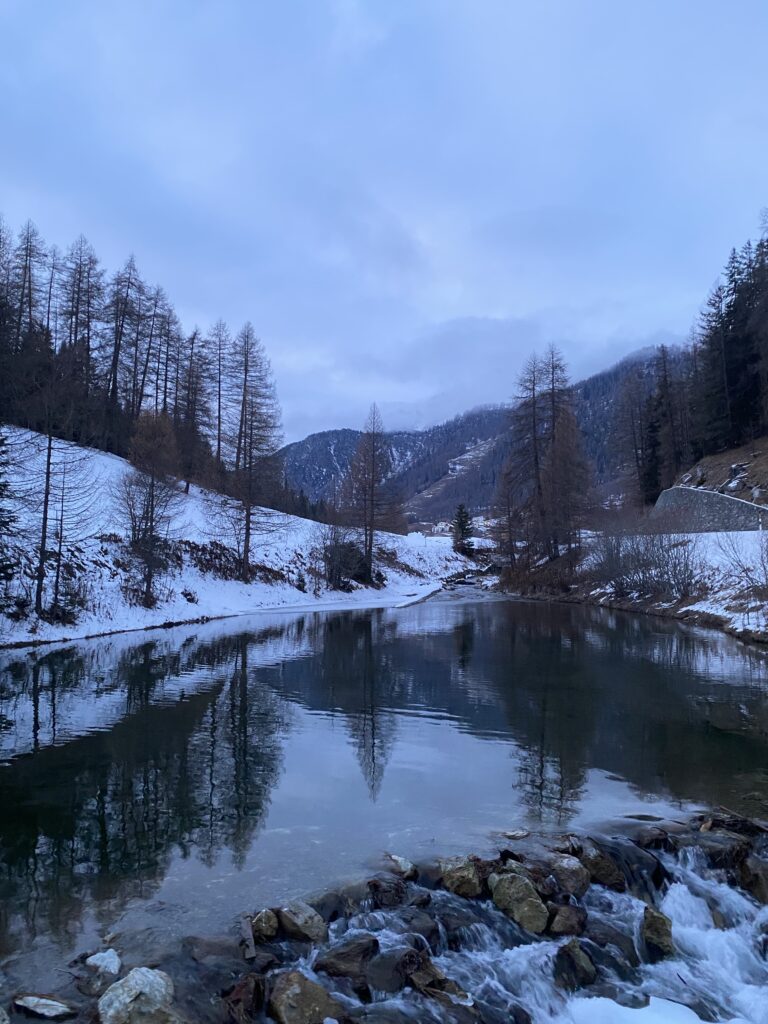 Bare winter trees and a calm lake in the Swiss Alps, the environment reshaping my inner world.